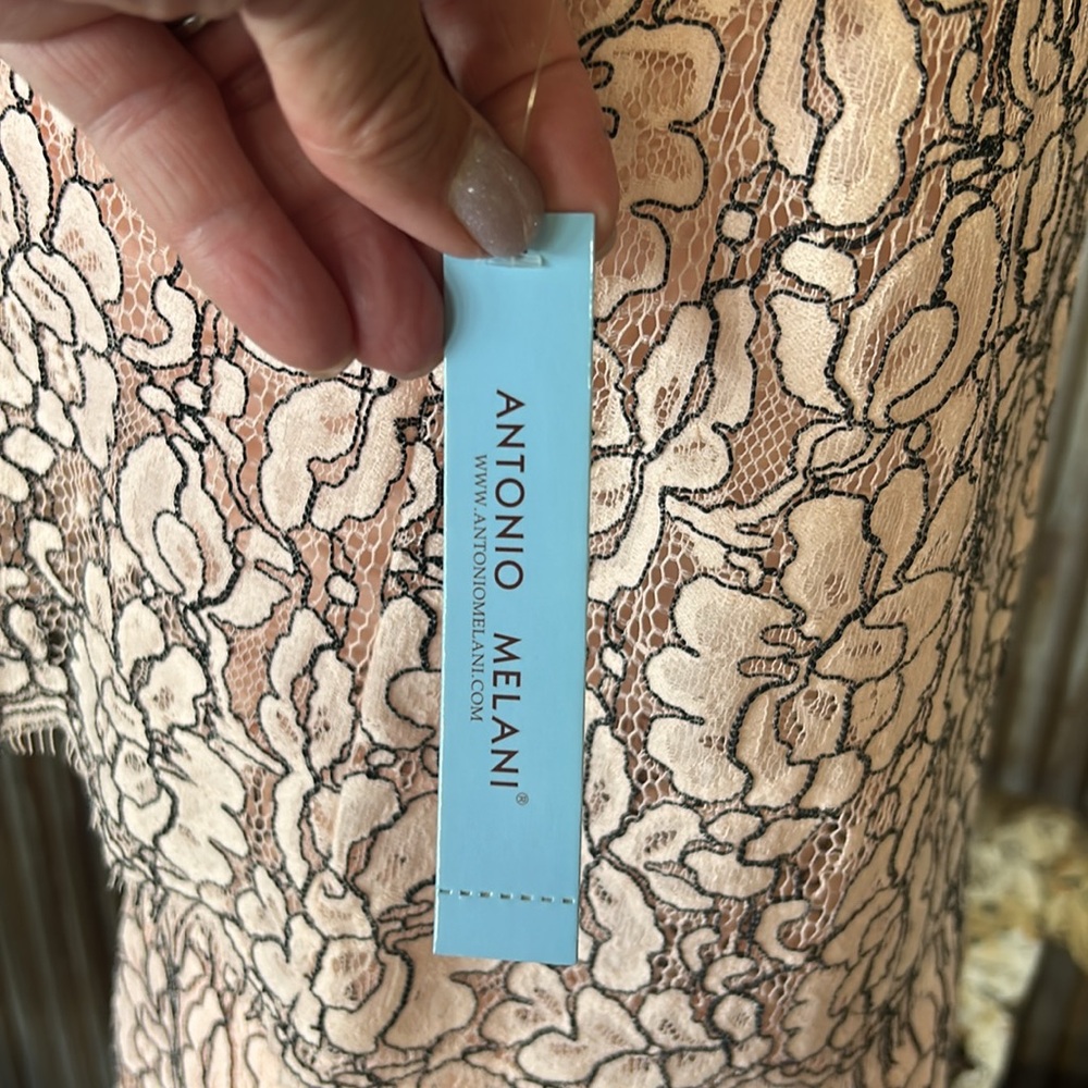 Antonio Melani Elegant Pink Lace Dress NWT! - Picture 6 of 11